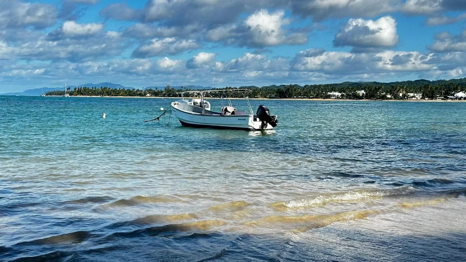 Campingplads Casa Ballenas2 Las Terrenas Den Dominikanske Republik